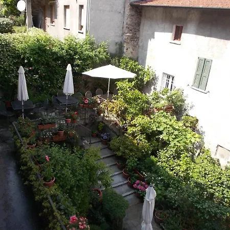 Zia Lina * دونغو