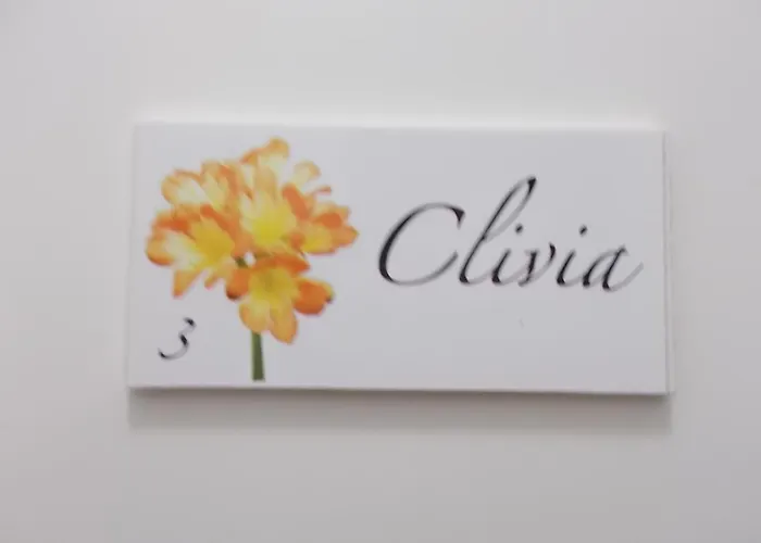 Zia Lina *